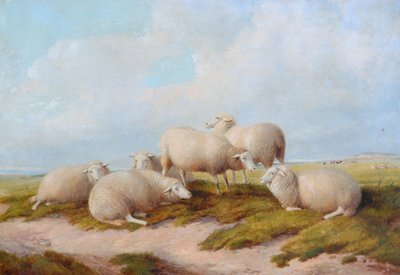 Sheep by Thomas Sidney Cooper